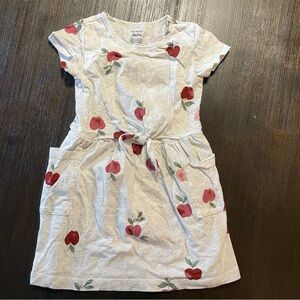 Carter’s girls 4T cotton Apple dress with pockets